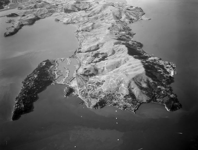 0747 Tiburon scn
